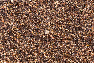 Small pebbles form the background of the sea shore. Coarse multicolor sand.