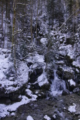 gefrorener Wasserfall in den Allgäuer Alpen