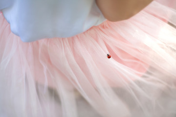 Fototapeta na wymiar Little ladybug sits on a woman's white chiffon dress