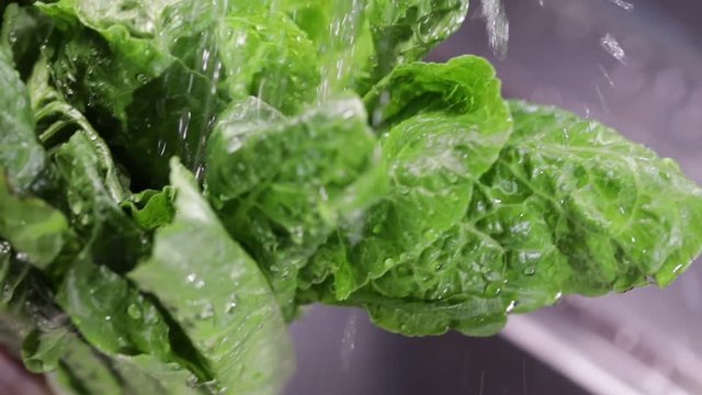 Salat waschen