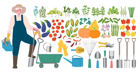 A male farmer with a shovel and a toolbox. Large set of various organic vegetables and Provencal herbs, tools for tillage, planting and irrigation.  Flat caricature vector illustration.