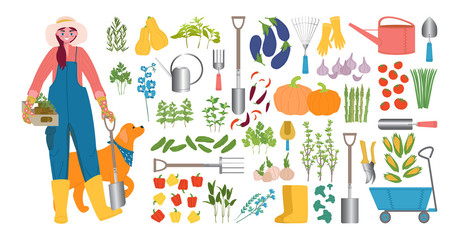 Fototapeta na wymiar Woman farmer with a shovel, seedlings and a big red dog. Large set of various organic vegetables and Provencal herbs, tools for tillage, planting and irrigation. Flat caricature vector illustration. 
