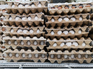 chicken eggs packaging cardboard packaging and coated with cling film