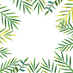 frame of tropical natural leafs isolated icon vector illustration design