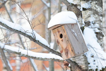 Wooden birdhouse hanging on tree in park on clear winter day