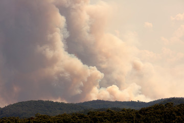 Bush fire smoke in a valley in The Blue Mountains in Australia