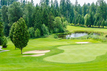 Golf course with yellow sand bunker and fantastic forest view.