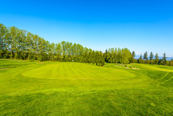Golf course with gorgeous green and fantastic forest view.