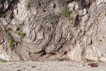 Close-up view of a steep cliff at an ocean beach site in Santa Barbara, California