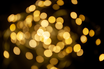 The background is a golden bokeh of the glare of garland lights. Defocus