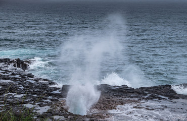 Fototapeta na wymiar Koloa, Kauai, Hawaii, USA. - January 16, 2020: Gray-azure Pacific Ocean with black rocky coastline shows eruption of the Spouting Horn geiser. Landscape photo.