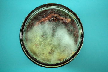 white and gray mold on jam