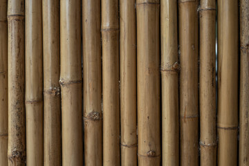  Old bamboo fence in warm colors