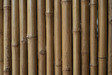 Fototapeta premium Old bamboo fence in warm colors