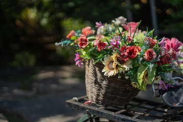  Morning sun And a basket of plastic flowers On the end of an old bicycle