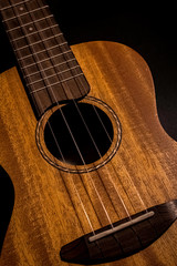 Naklejka premium Ukulele HDR