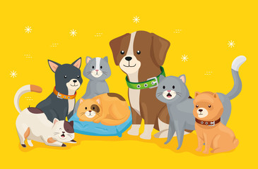 group of little dogs and cats vector illustration design