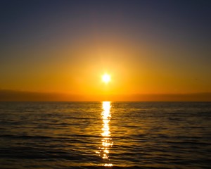 Fototapeta premium sunset over the sea