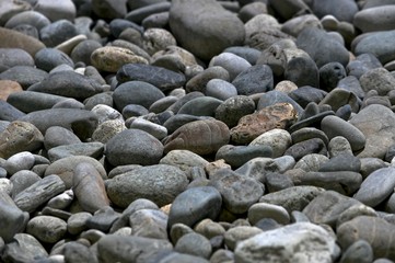River pebbles are not large for the whole frame.