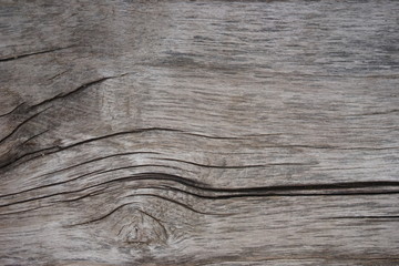 oak texture background