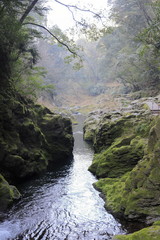 岩戸川 (高千穂, 宮崎)