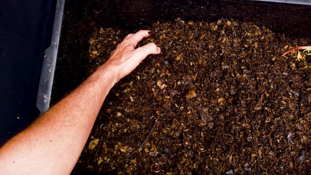 Recycling of biological waste, organic kitchen waste, composting food waste.