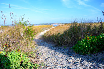 At Oak Island NC, the sandy path leads to the waters edge. A walk along the grassy dunes.