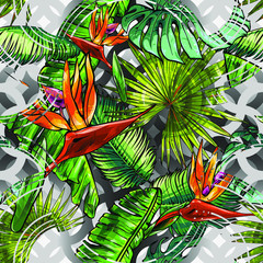 Seamless abstract texture on the theme of the tropics, jungle from palm leaves, monstera, banana leaves, strelitzia and heliconia flowers.