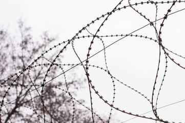barbed wire on gray sky background