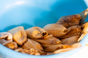 Some traditional Mexican tamales in a container