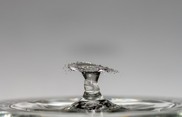 Water drops fall from a height of pure, clear water forming splashes in the form of original shapes of umbrellas, mushrooms and crowns