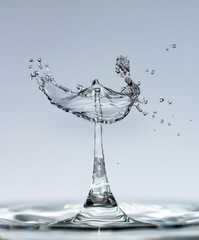 Water drops fall from a height of pure, clear water forming splashes in the form of original shapes of umbrellas, mushrooms and crowns