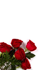 Red Bouquet of fresh roses .Traditional gift holiday