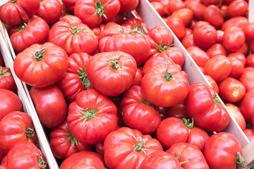 Tomatoes on the market bench