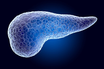 Pancreas, x-ray hologram. 3D rendering