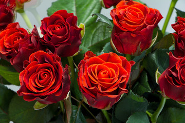 Bouquet of beautiful red roses on a gray background, greeting or holiday concept, selective focus