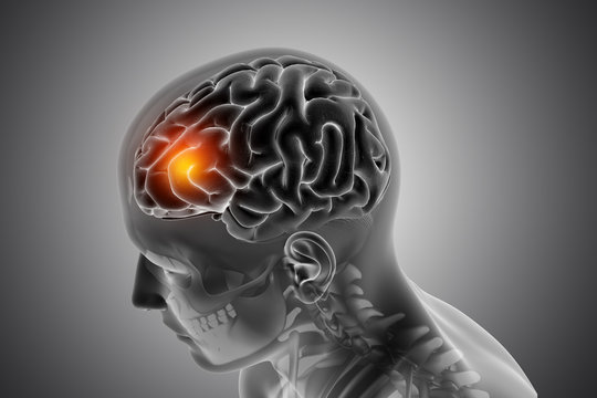 3D male medical figure with front of the brain highlighted
