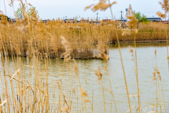 心象風景 Photos Royalty Free Images Graphics Vectors Videos Adobe Stock