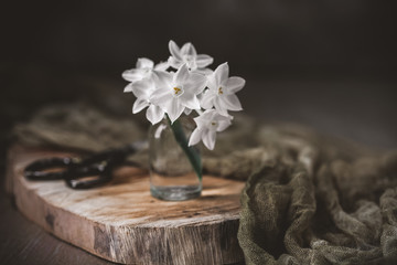Little Bouquet of Paperwhite Narcissus in Clear Bottle on Cedar Plank with Green Fabric and Scissors in Background
