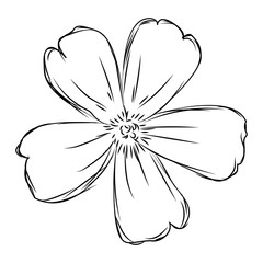 Isolated sketch of a flower