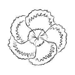 Isolated sketch of a flower