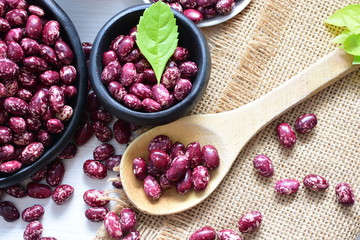 Very colorful natural bean grains