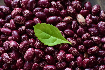 Very colorful natural bean grains