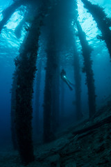 Diver underneath a jetty