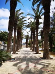 Malta and Gozo images all around the both islands