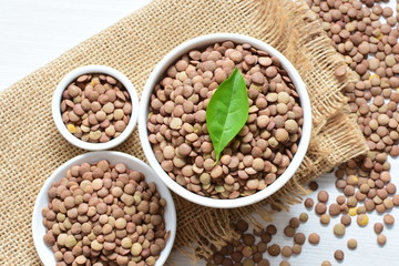  variety of natural lentils in different backgrounds