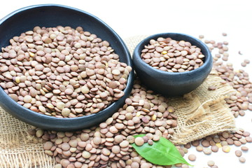 Very colorful natural lentil grains