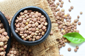 Very colorful natural lentil grains