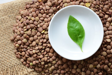 Very colorful natural lentil grains