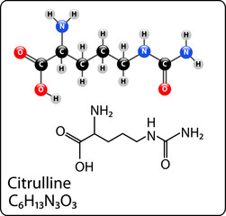 citrulline Molecule Structure
